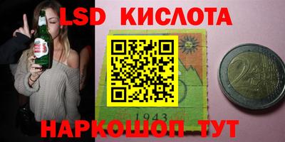 тгк Дмитров