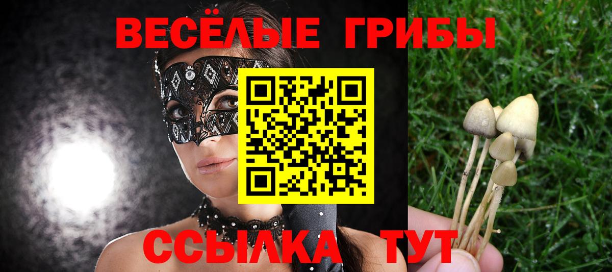 Галлюциногенные грибы Psilocybe  Вход с VPN  Артёмовский 